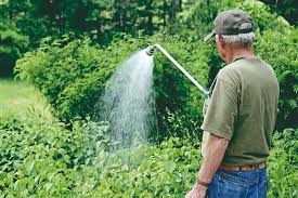 ����������� ����� ��� ������� � ��������� �������