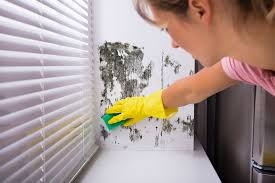 ����������� ������ �������� �������