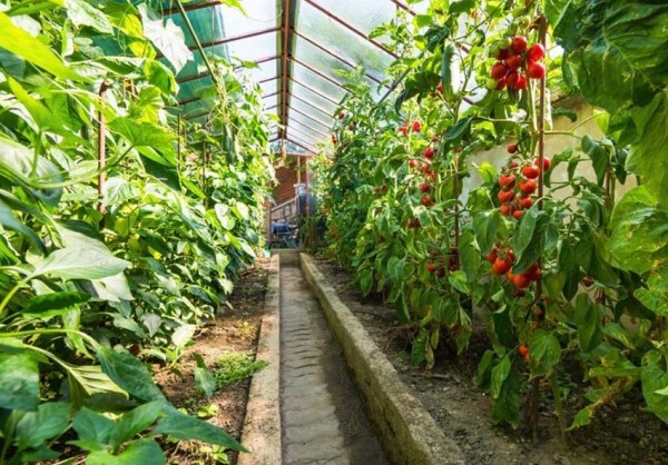 ������� ��������� ����������� ������� � ������� � �������