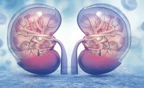 ����������� ������� � ������� ������������