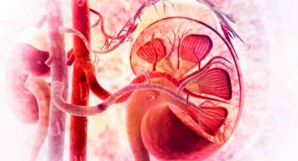 �������� ������� ����� �������� ����������� �������� ���������������