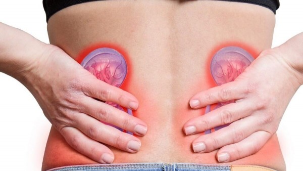 ���������� � �������� ����������� �������� ���������������