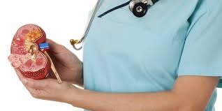 ����������� ������ ����������� ������������ �������