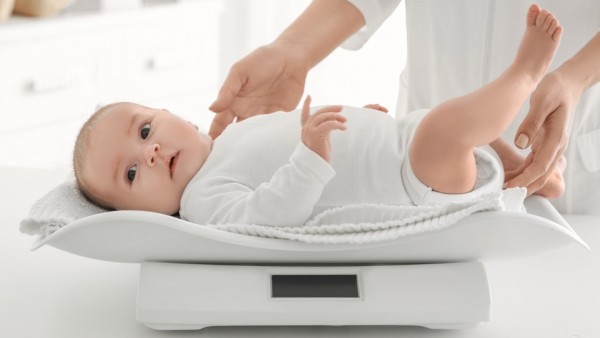 ����� ������ ���� � ��������� �� �������: �������