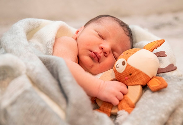 ������������� ������ ��� ���������� ����� � ���������