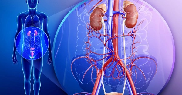 �������� ������ � ������ � ������ � ������