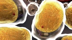 ����� ���������� ���������� � �� ����� ��� ������������