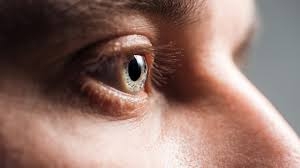 ��� �������� ������� "������ �����", ��� �� ����������� � ��� � ��� ��������