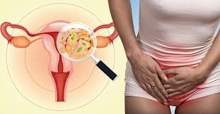 ������� ����������� ����������� �������