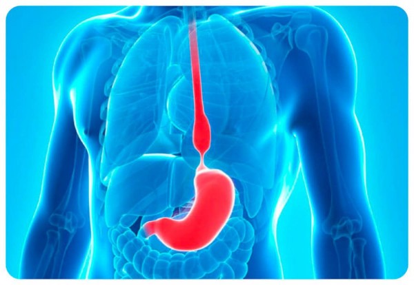 ��� ��������� ������ �������� ��������, ����� �������� ����������?