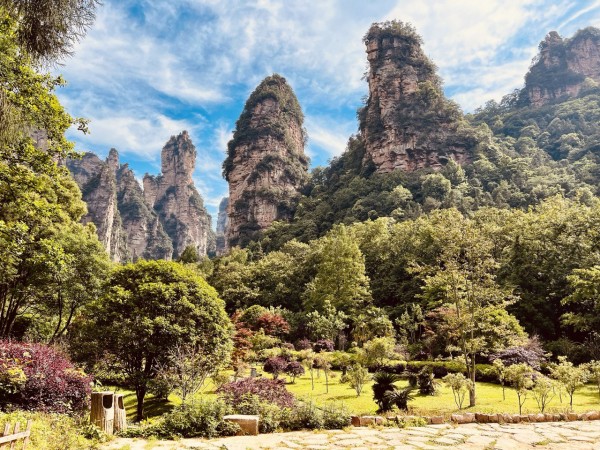 �����-������������ ���� ����������