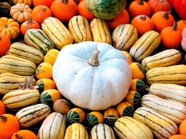 ������� ���������� ������� ���� � �������, � ������� �� ����������