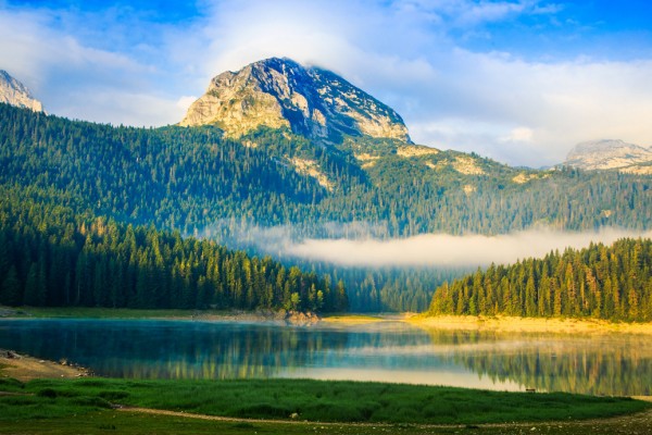 ����������-��������