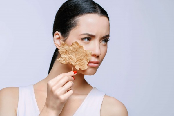 ���� �� ����� � ������ �����: ������������